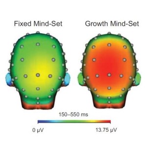 Growth-mindset-brain-scan-square